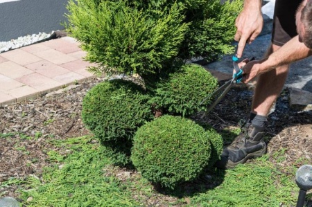 La taille des arbustes fa&ccedil;onne durablement les espaces verts pr&egrave;s de Lons-le-Saunier